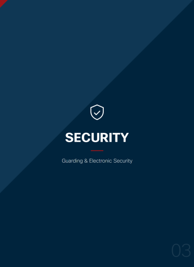 sas-security